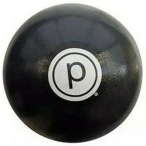 NEW Pure Barre Workout Ball